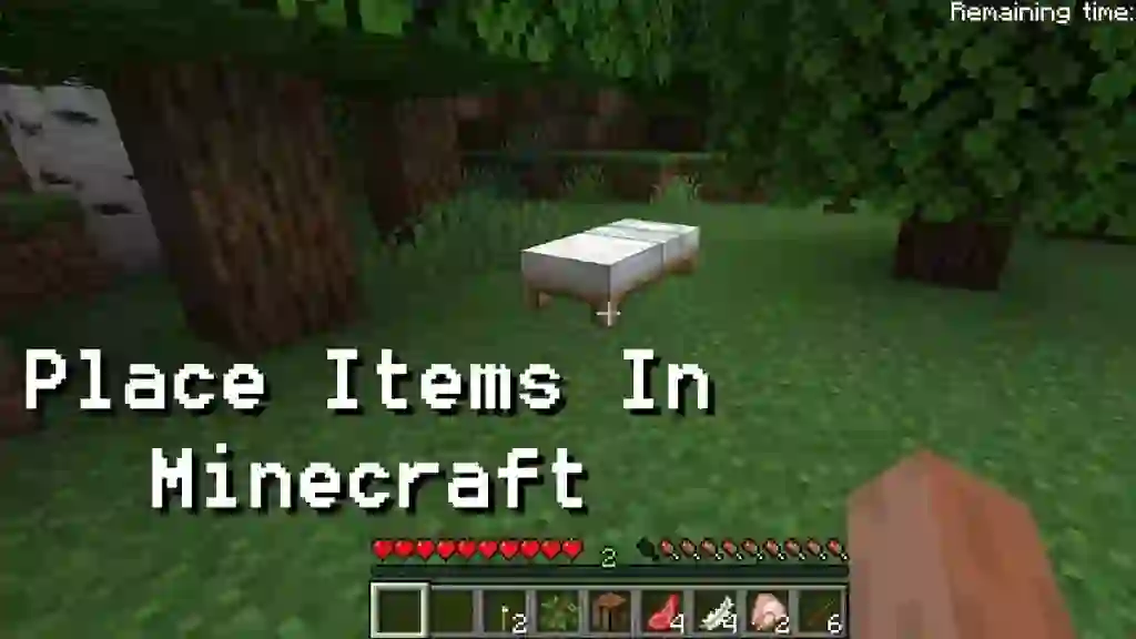 How to Place an Item in Minecraft