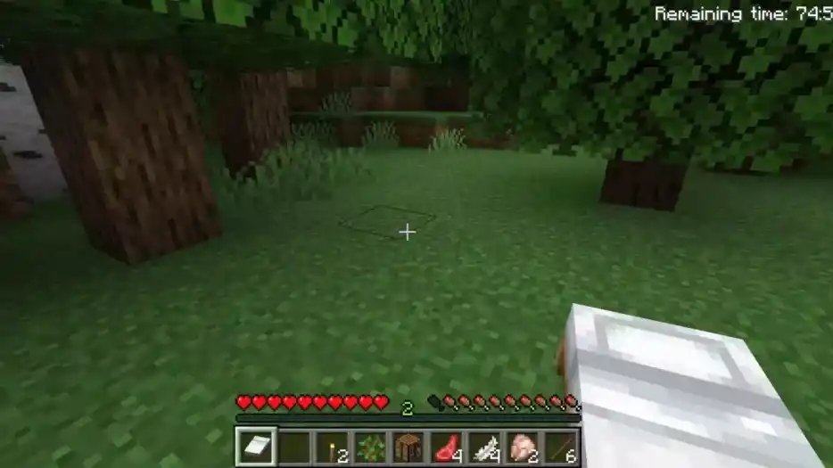 How to Place an Item in Minecraft