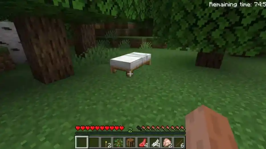 How to Place an Item in Minecraft