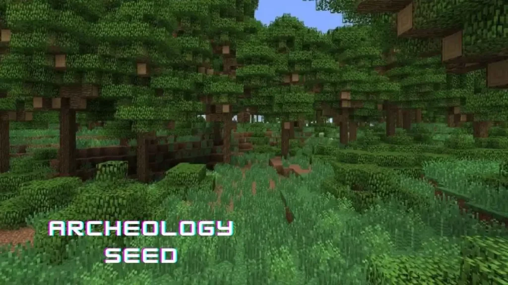 Archeology Seed