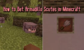 How to Get Armadillo Scutes in Minecraft
